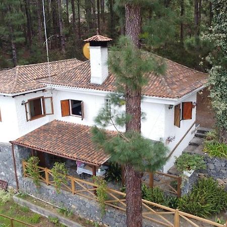 Floral Garden House Villa Icod De Los Vinos Exterior foto