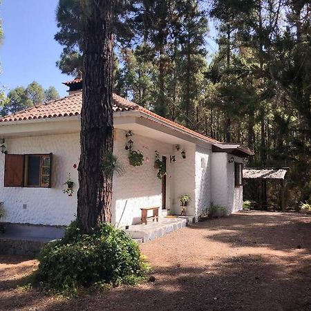 Floral Garden House Villa Icod De Los Vinos Exterior foto