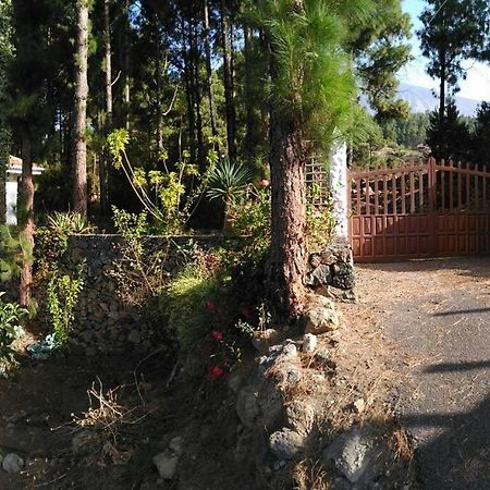 Floral Garden House Villa Icod De Los Vinos Exterior foto