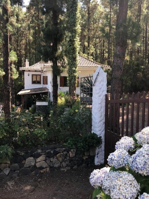 Floral Garden House Villa Icod De Los Vinos Exterior foto