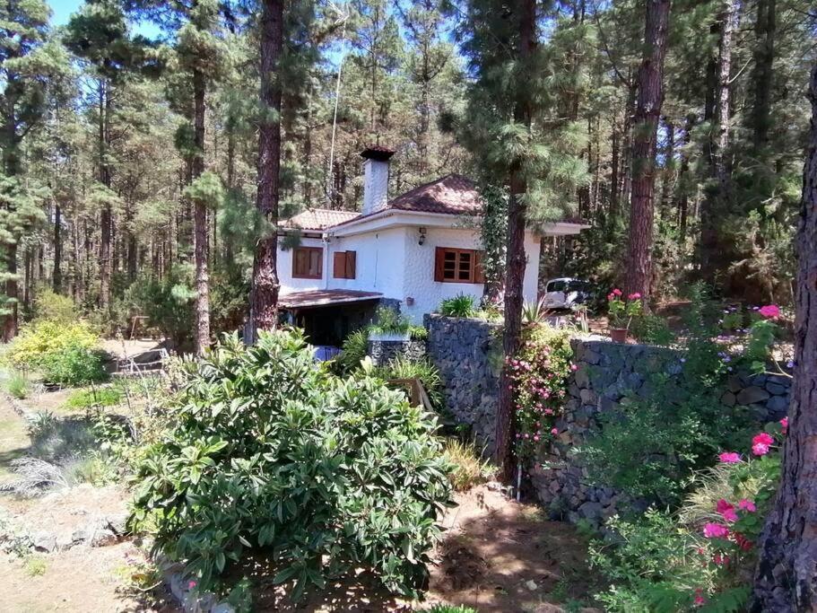 Floral Garden House Villa Icod De Los Vinos Exterior foto