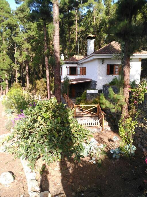 Floral Garden House Villa Icod De Los Vinos Exterior foto