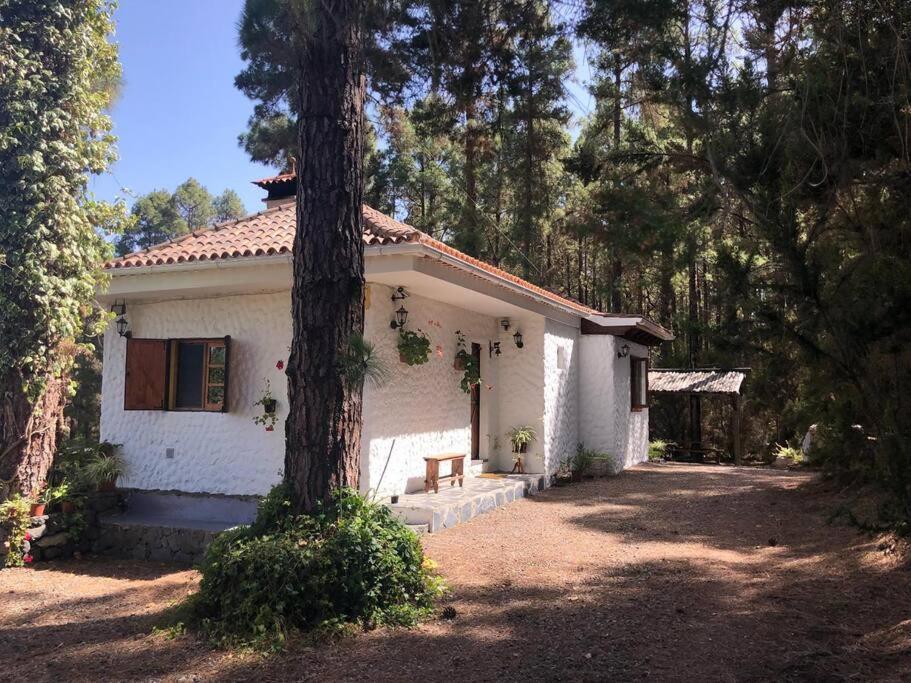 Floral Garden House Villa Icod De Los Vinos Exterior foto