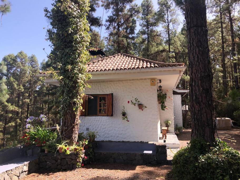 Floral Garden House Villa Icod De Los Vinos Exterior foto